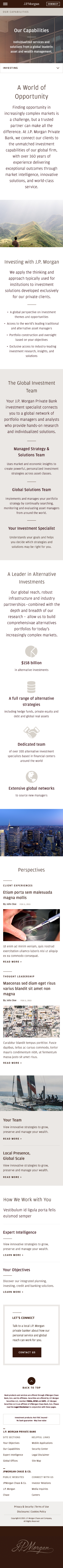 JPMorgan Private Bank - Mobile: Our Capabilities Wealth Planning
